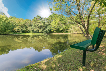 Serene water views